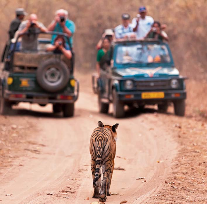 TOUR L U X U R Y DEL NORD E PARCO DI RANTHAMBORE