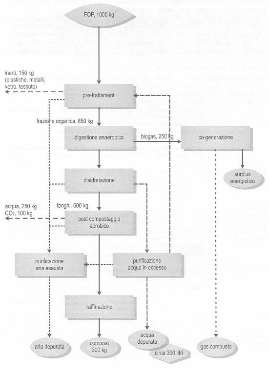 Schema e bilancio di massa del ciclo di