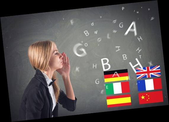 Le conoscenze linguistiche Tutti i vincitori devono sostenere un test di livello linguistico on-line obbligatorio (Online Linguistic Support -