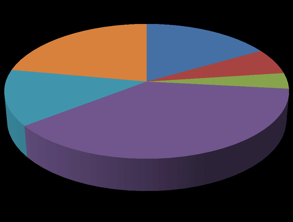 I fabbricanti di API generici Generic APIs Manufacturers 22,1%