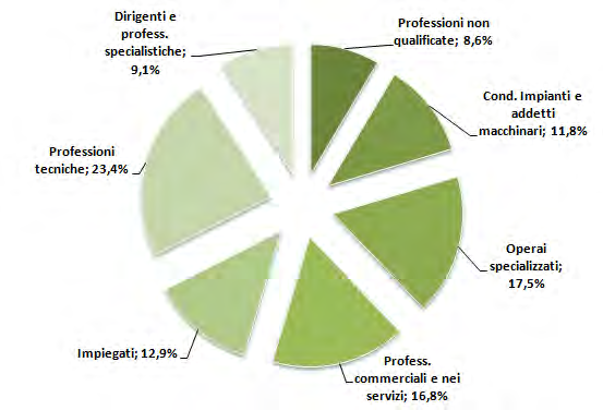 Grafico 11 Assunzioni non stagionali per gruppi professionali richiesti dalle imprese.