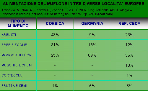 Strategie alimentari Il muflone è un ruminante pascolatore puro, con alcuni comportamenti di tipo selettivo; le necessità metaboliche sono di 144 grammi di foraggio verde al giorno per kg di peso