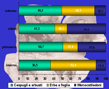 Alimentazione