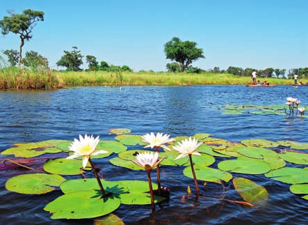 Victoria Falls Delta dell Okavango Chobe National Park Itinerario di 8 giorni - 7 notti Trattamento di pernottamento, prima colazione giornaliera, 3 pranzi, 5 cene 2 notti a Victoria Falls, 3 notti