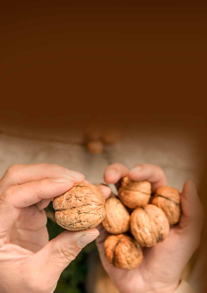 Noci Walnuts Le noci sono un frutto dal sapore ricco, buono al gusto ma anche per le notevoli qualità nutrizionali.