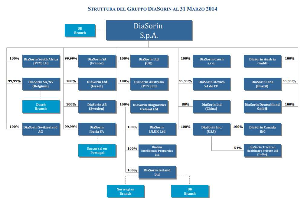 IL GRUPPO DIASORIN OGGI Nel 2013 il Gruppo DiaSorin ha conseguito: Ricavi per 435 milioni di euro Margine Operativo Lordo pari