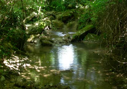 BACINO DEL BISENZIO RIO DELLA NOSA RIO DELLA NOSA 108 CORSO D ACQUA CORSO D ACQUA LUNGHEZZA CORSO D ACQUA ORDINE FLUVIALE 3 BACINO IDROGRAFICO REGIME DI PESCA ATTUALE Rio della Nosa 4561 m Bacino del