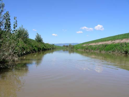 BACINO DELL OMBRONE TORRENTE OMBRONE CORSO D ACQUA CORSO D ACQUA LUNGHEZZA CORSO D ACQUA ORDINE FLUVIALE 2 Torrente Ombrone 42447 m TORRENTE OMBRONE BACINO IDROGRAFICO REGIME DI PESCA ATTUALE