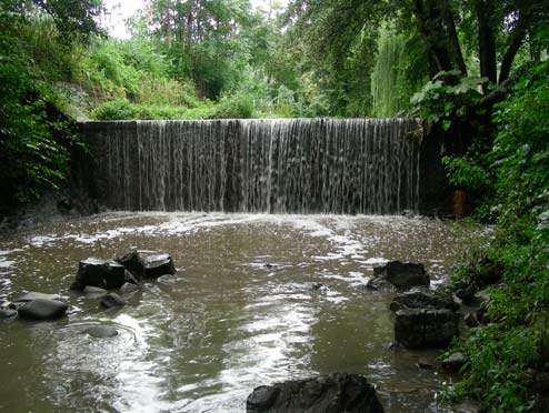 BACINO DELL OMBRONE TORRENTE AGNA TORRENTE AGNA 137 CORSO D ACQUA CORSO D ACQUA LUNGHEZZA CORSO D ACQUA ORDINE FLUVIALE 3 BACINO IDROGRAFICO REGIME DI PESCA ATTUALE Torrente Agna 8026 m Bacino del