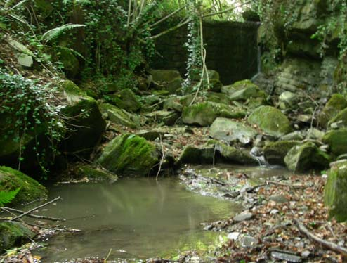 BACINO DEL BISENZIO TORRENTE CARIGIOLA TORRENTE CARIGIOLA 54 CORSO D ACQUA LUNGHEZZA CORSO D ACQUA CORSO D ACQUA ORDINE FLUVIALE 3 BACINO IDROGRAFICO REGIME DI PESCA ATTUALE Torrente Carigiola 9041 m