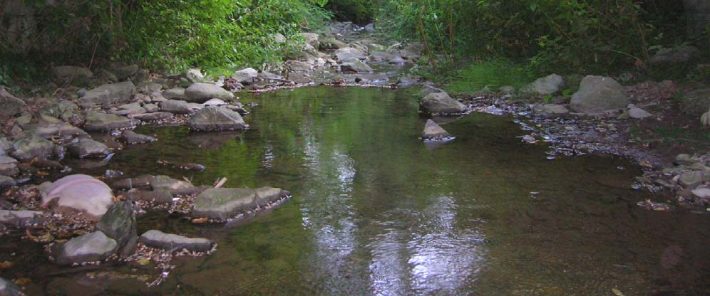 BACINO DEL BISENZIO TORRENTE DI FIUMENTA TORRENTE DI FIUMENTA 59 CORSO D ACQUA LUNGHEZZA CORSO D ACQUA CORSO D ACQUA ORDINE FLUVIALE 3 BACINO IDROGRAFICO REGIME DI PESCA ATTUALE CLASSIFICAZIONE