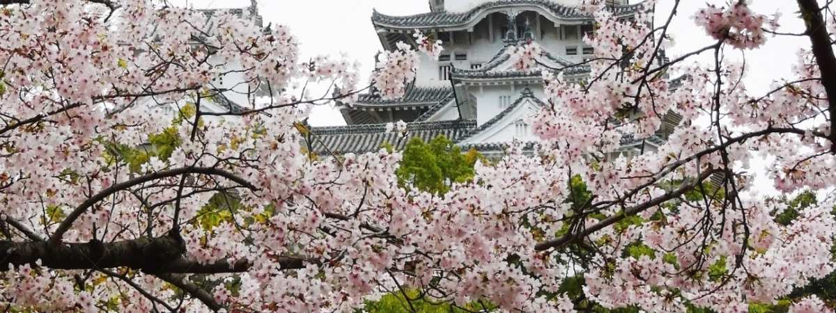 10 Giorno, Lunedì 3 Aprile Osaka / Hiroshima Escursione a Miyajima Trasferimento alla stazione ferroviaria di Shin-Osaka e partenza in treno Super Express JR (2 classe) per Hiroshima.