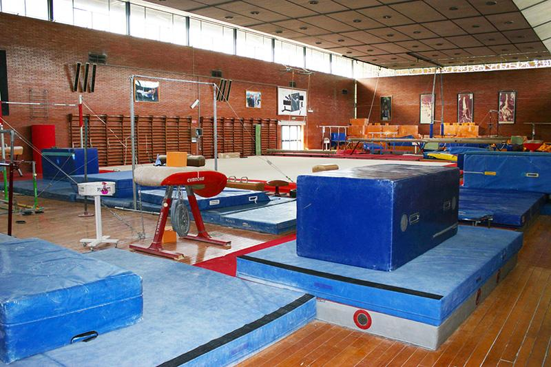 INVERNALE 2016/17 Federazione Ginnastica d Italia WINTER GYMCAMPUS Ginnastica Artistica Femminile ROMA ACCADEMIA NAZIONALE Centro Preparazione Olimpica Acqua Acetosa Giulio Onesti ROMA Via dei Campi