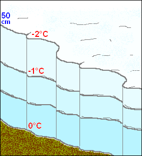 neve & valanghe 20 manto nevoso metamorfismo gradiente esempio : DEBOLE FORTE temperatura strato inferiore 0 0