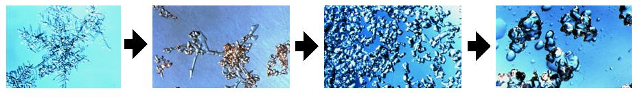 neve & valanghe 21 manto nevoso metamorfismo gradiente debole si instaura con temperature esterne relativamente alte (-3 ) porta ad una diminuzione di coesione subito dopo una nevicata (perdita della