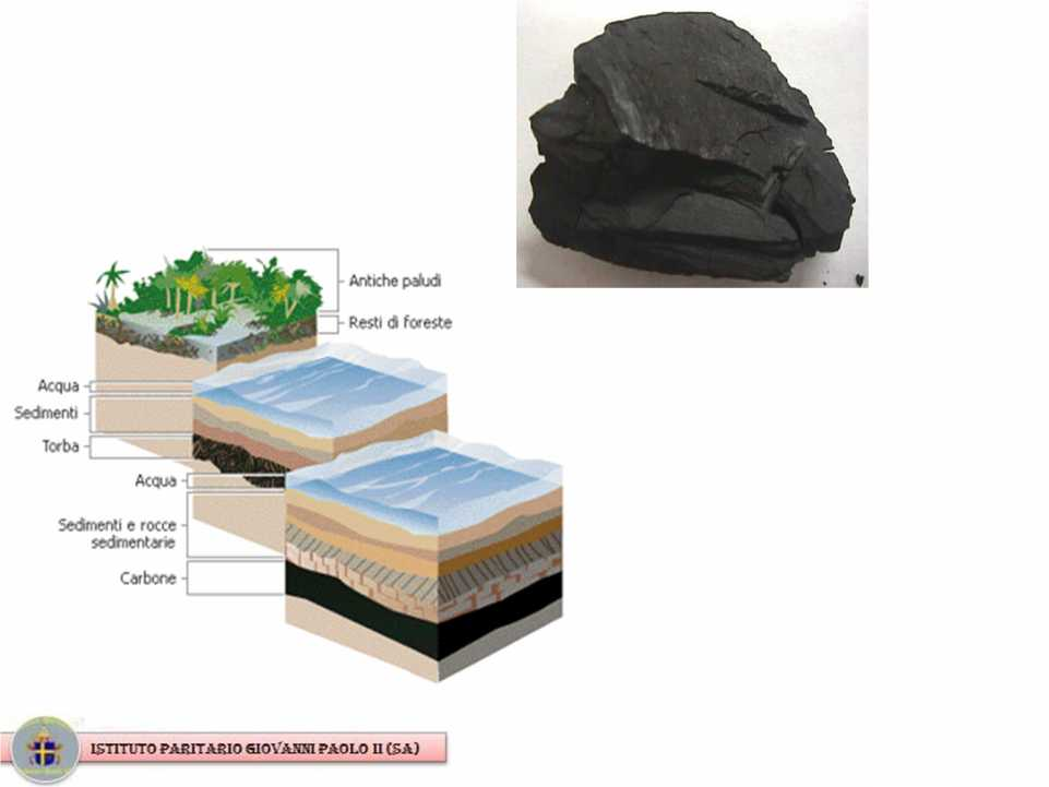 Il carbone si è formato per la decomposizione delle