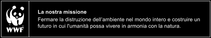 Tritate il tutto fino ad ottenere un pesto. 6. Versate il pesto in un vaso da conserva. 7.