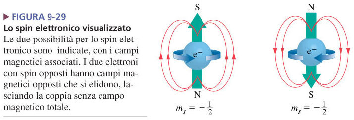 Lo spin elettronico: il quarto numero quantico L elettrone ruota intorno a se stesso generando un campo magnetico Esistono due possibilità di rotazione dell