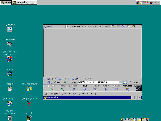 Figura 14: la videata del software Netscape.