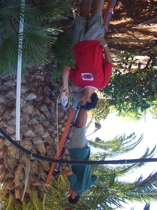 Prove di controllo del punteruolo rosso con il Nuovo Metodo Corradi Collaborazione con l'assessorato Agricoltura e Foreste della Regione Sicilia (Marsala, 2008) Difficoltà logistiche del cantiere