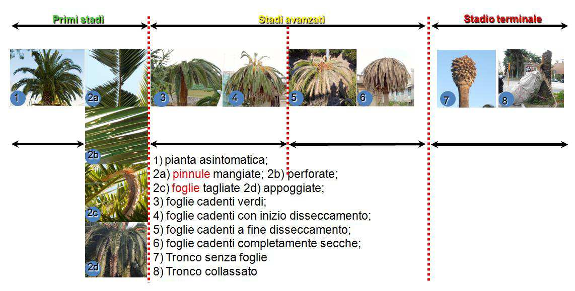 18.4.2012 - BOLLETTINO UFFICIALE DELLA REGIONE TOSCANA - N.