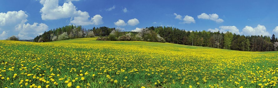 Dalla natura, prodotti iperproteici di qualità unica L assortimento della gamma NutraLYO NutraLYO è un innovativa linea di prodotti indicati per un regime alimentare di trattamento degli stati di