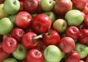 Non tutte le mele sono uguali anche in fatto di quantità di polifenoli antiossidanti e antinfiammatori; la varietà Fuji contiene un quantitativo di molecole polifenoliche superiore alle Golden, alle
