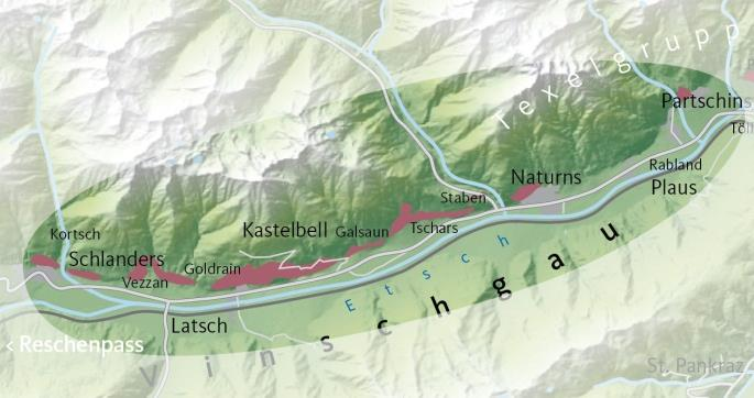 Weine aus dem Vinschgau Vini della zona Val Venosta Südtiroler Vinschgauer / Val Venosta Mit seiner Orientierung nach Westen hebt sich der Vinschgau markant von den übrigen Anbaugebieten Südtirols