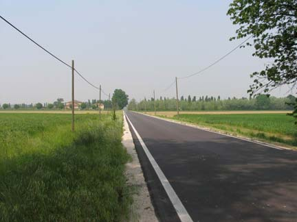 2/2-Alberi monumentali presso Villa