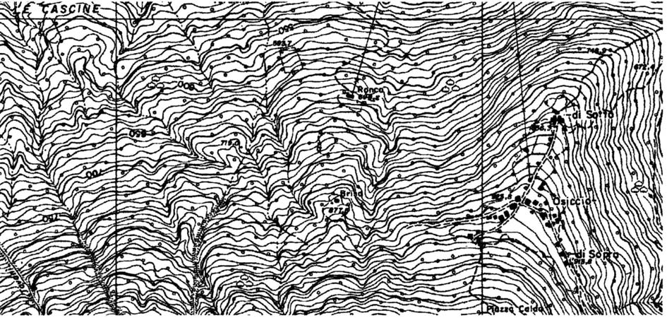 presente un altro castagno con circonferenza di 355 cm Carta Tecnica Regionale n. B3e3 scala : 1 : 10.