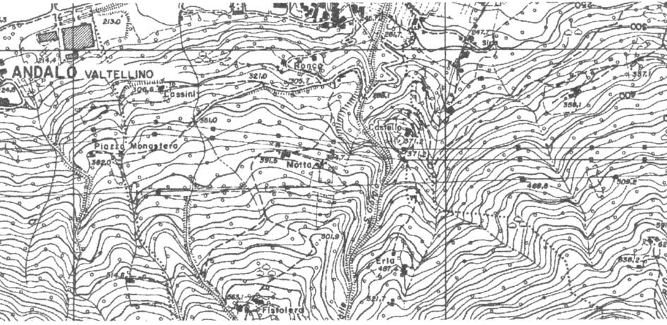 La pianta si trova nella corte tra vecchie baite risalenti al 600-700 che mantengono ancora le antiche tipologie