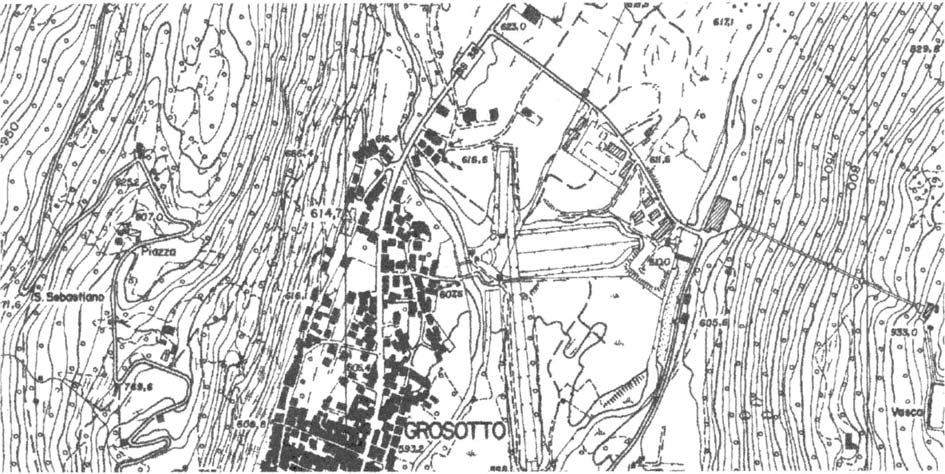 Bucholtz) Circonferenza cm: 350 Altezza m: 29 - rarità botanica