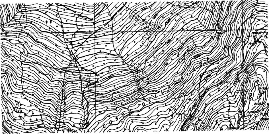 m: 1560 E presente anche un altro larice con circonferenza 380 cm e altezza 22 m Carta Tecnica Regionale n.