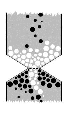 L INTEGRAZIONE COMPONENTE NUTRIZIONALE Biomassa Organica