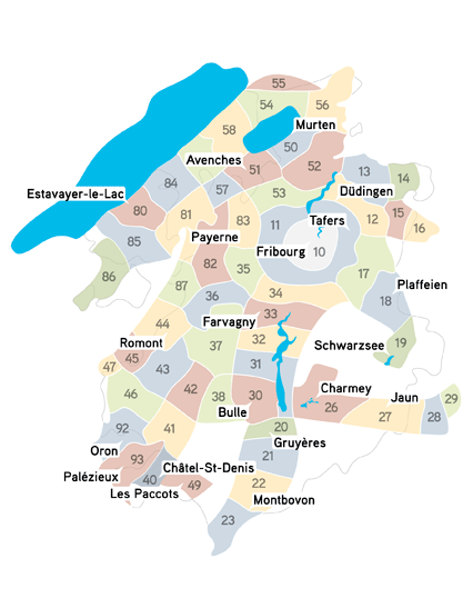 Transports publics fribourgeois (TPF) SA Società di diritto privato Cantone di Friburgo: 53,96 % Confederazione : 21,14 % Comune di Friburgo : 16,24 % FFS: 5 % Impresa multimodale 6 tratte d