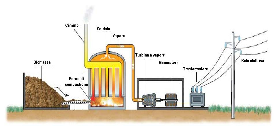 ENERGIA DELLE BIOMASSE Questa energia deriva dalla combustione dei rifiuti.