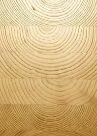 Il dimensionamento delle travi DUO e TRIO avviene in modo analogo a quello del legno massiccio e la riduzione della sezione causata dal giunto a pettine non deve essere tenuta in considerazione.
