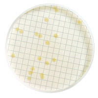 Aspetto tipico delle colonie: Le colonie sono da trasparenti a bianche cremose, alcune possono essere pigmentate. KIT (NPA) CONTA TOTALE 2 (MF) Kit per la conta delle cariche microbiche.