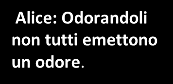 schiaccianoci. Leonardo: gli ortaggi sono frutti perché hanno nella polpa i semi.