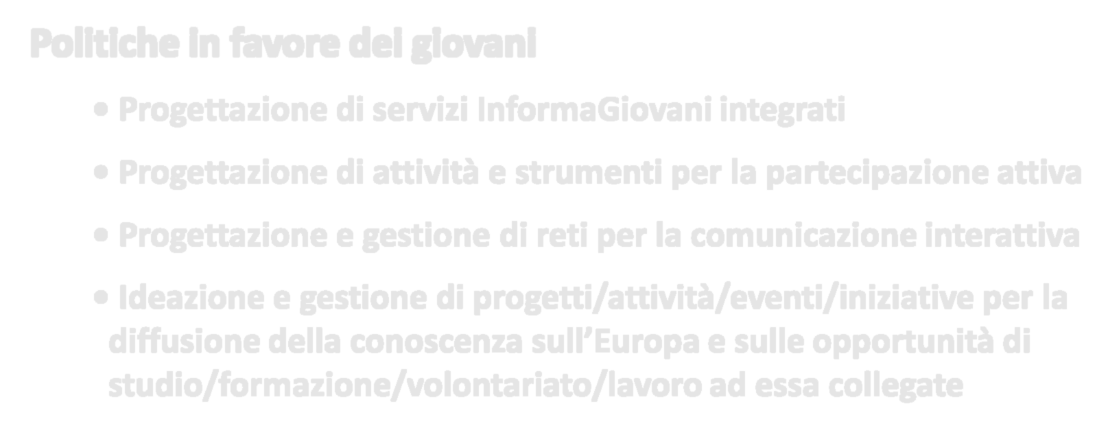 progettazione mobilità educativa transnazionale per i giovani Occupabilità dei giovani Ideazione e gestione di progetti di tirocinio formativo all estero Politiche in favore dei giovani Progettazione