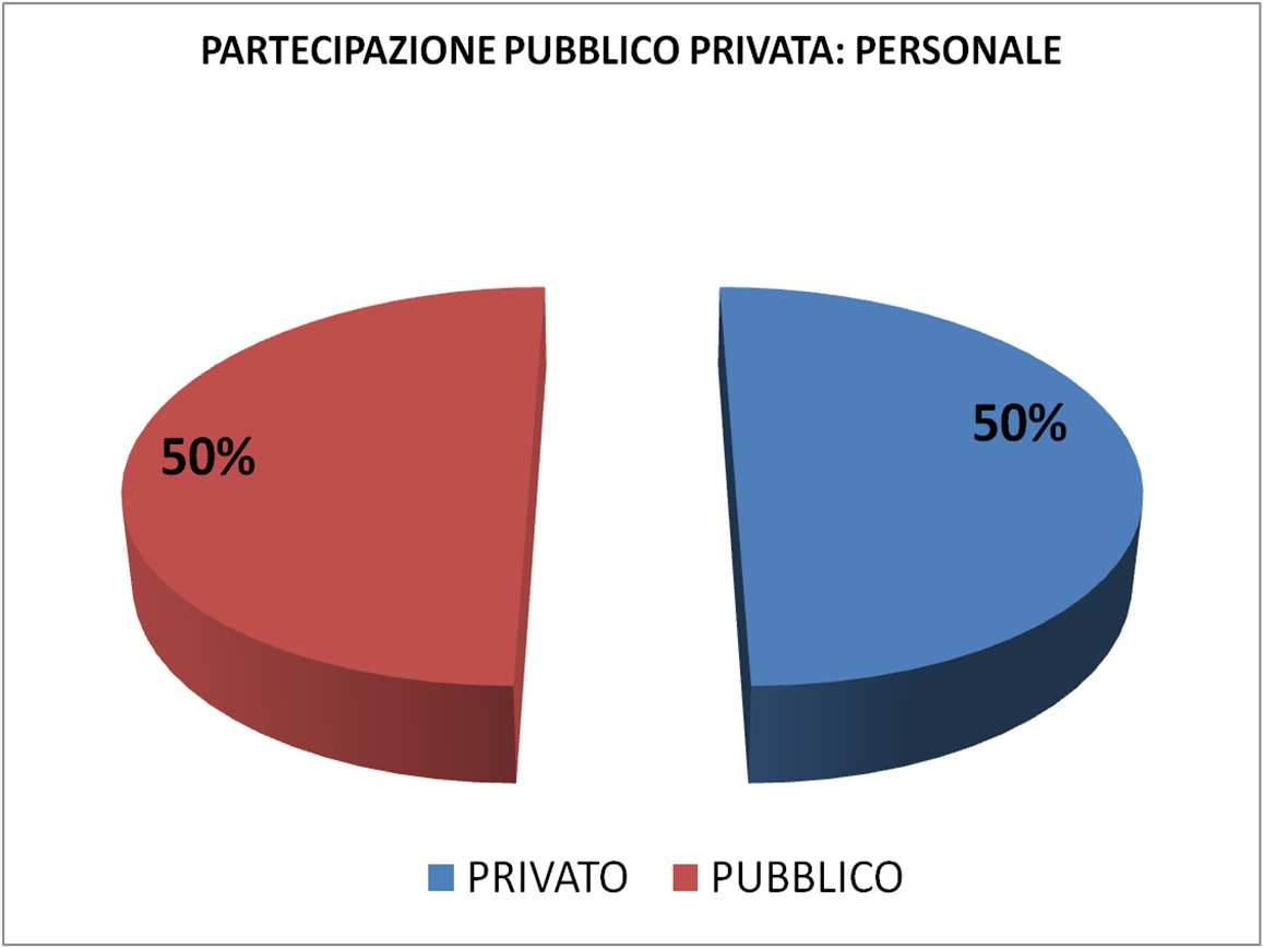 Attività 2011 2013: