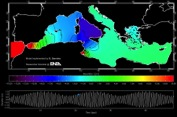 Studi sul comportamento fluidodinamico e strutturale di sistemi di conversione in collaborazione con le