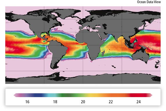 Fonti di energia negli oceani Temperatura oceanica Gradienti di temperatura: energia termica derivata dalla differenza di temperatura tra gli strati superficiali