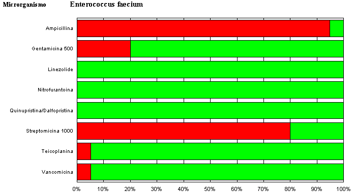 enterococchi