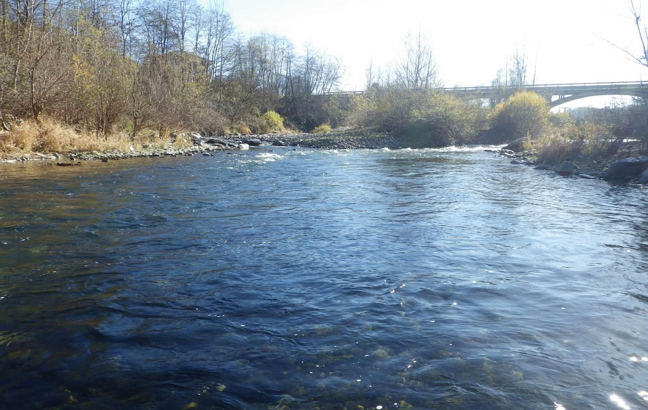 3.3 CARATTERIZZAZIONE DELLA FAUNA ITTICA STAZIONE S3 Figura 10 Fiume Tanaro, tratto a valle della