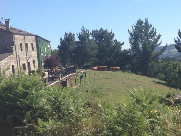 Casa Morgade è gestita da una bellissima famiglia ed è in un ambiente favoloso con prati, mucche e una fontana nella quale Martino ha giocato tutto il