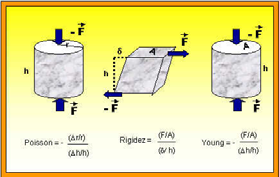 progettazione delle strutture con particolare riferimento a: Modellizzazione geofisica del sottosuolo per scopi ingegneristici Principali tecniche di laboratorio per la caratterizzazione fisica e