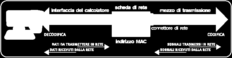 codificare i dati inviati dal calcolatore alla rete e dalla rete al calcolatore Sin dalla sua costruzione, ciascuna scheda di rete dispone di un indirizzo univoco a