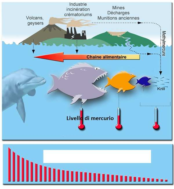 I principali pericoli alimentari in gravidanza Contaminanti chimici La contaminazione chimica degli alimenti in vendita si è notevolmente ridotta negli ultimi anni.