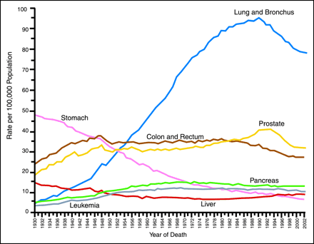 INTRODUZIONE Il tumore al polmone Il cancro al polmone costituisce una delle principali cause di morte nei paesi industrializzati.